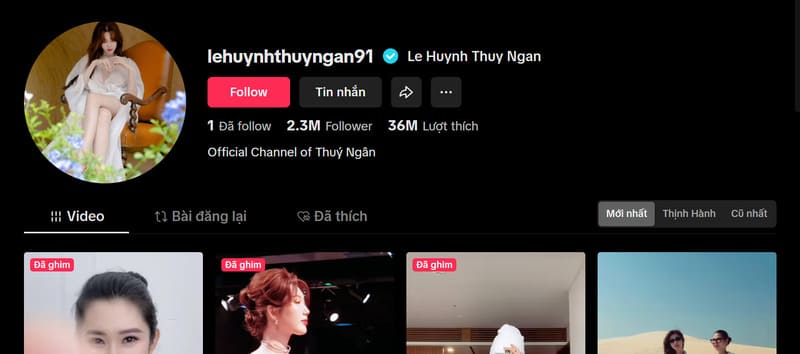 Thuý Ngân – Hình mẫu của phụ nữ hiện đại